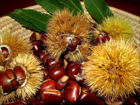 Autunno: è tempo di castagne!