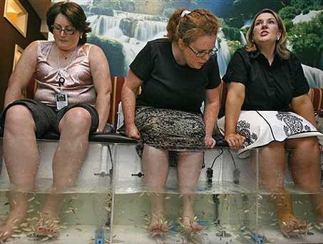 Fish Pedicure... O.o'