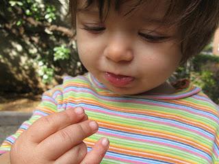 Il nostro Ninestrone. Il nostro Ninestrone.