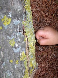 Il nostro Ninestrone. Il nostro Ninestrone.