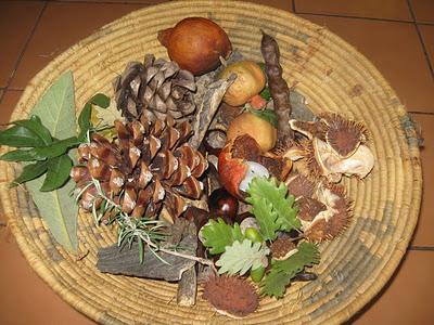 Il nostro Ninestrone. Il nostro Ninestrone.