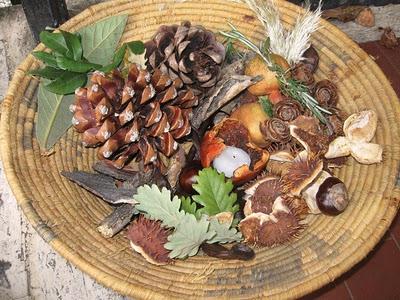 Il nostro Ninestrone. Il nostro Ninestrone.