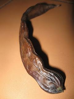 Il nostro Ninestrone. Il nostro Ninestrone.