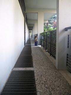 Il nostro Ninestrone. Il nostro Ninestrone.