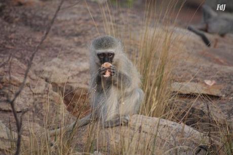La chiamavamo libertà La chiamavamo libertà