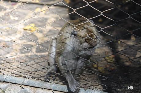 La chiamavamo libertà La chiamavamo libertà