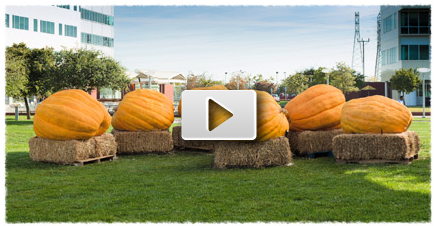 Google_halloween Su Google un doodle per Halloween