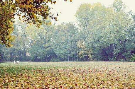 The time and the nature