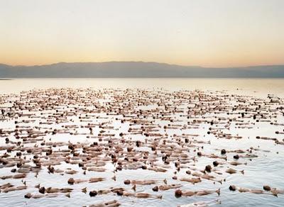 I nudi (senza pudore) di Spencer Tunick