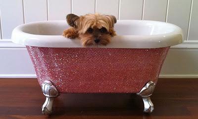 IL LUNEDI DELLA LUMACA IL LUNEDI DELLA LUMACA