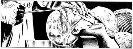 dr. Morgue #4: Linvenzione della Morte ></div>> LoSpazioBianco dr. Morgue #4: L’invenzione della Morte