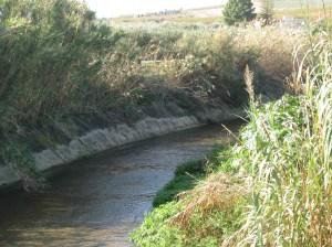 Vallone_dopo_l'intervento Menfi, valloni puliti. Riunione tecnico-operativa tra i vertici ESA – Consorzio di Bonifica – Comune. Interventi anche sulle strade di campagna. VIDEO e FOTO