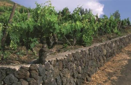 I vini dell’Etna protagonisti al World Wine Symposium, la Davos du vin sul Lago di Como