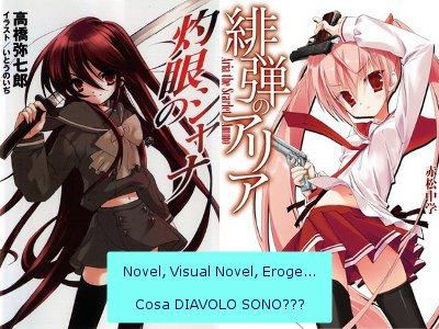 Novel, Visual Novel, Light Novel, Eroge