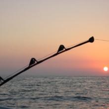 Il verde rame: una “tecnica di pesca” ormai diffusa