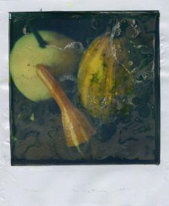 Still © Enrico Borgogni Polaroiders Fundraising for Levanto – 7th auction reminder