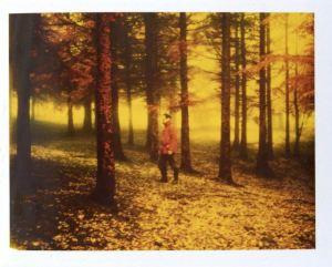 Autunno Rosso © Enrico Borgogni Polaroiders Fundraising for Levanto – 7th auction reminder