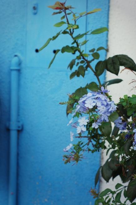 La magnifica Burano