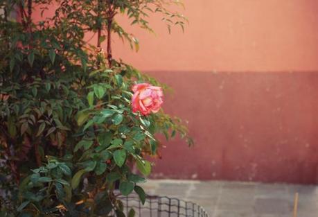 La magnifica Burano