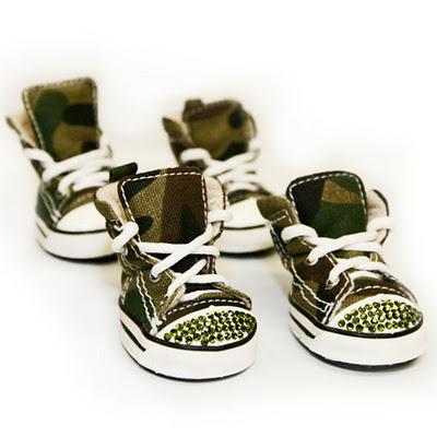 IL LUNEDI DELLA LUMACA IL LUNEDI DELLA LUMACA