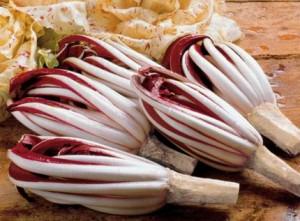 radicchio treviso - ricetta risotto salsiccia