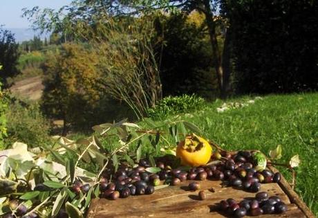 Autunno in Toscana: Mallegato, soppressata, caki, olive...