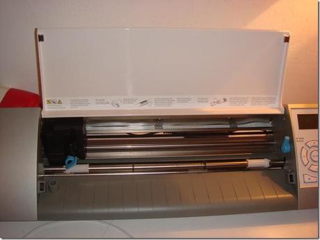 nuovi arrivi DSC06835