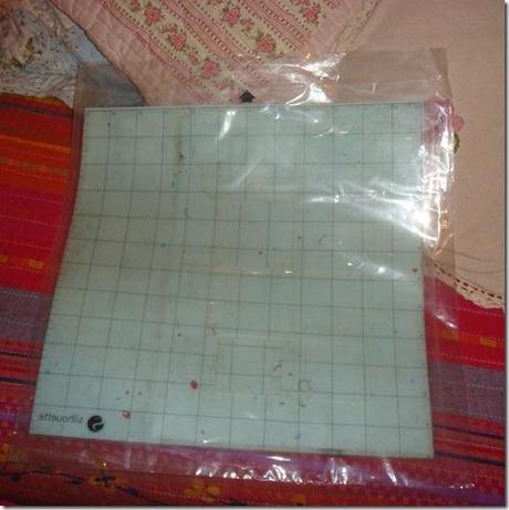 nuovi arrivi DSC06840