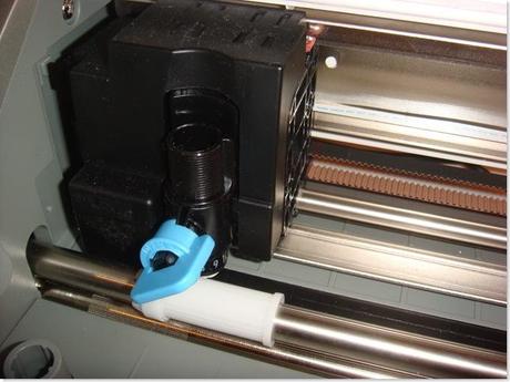 nuovi arrivi DSC06837