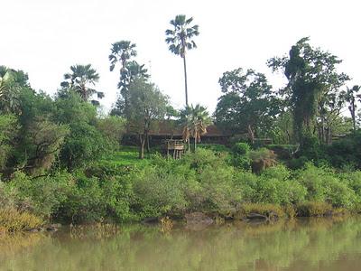 Parco Nazionale di Niokolo-Koba