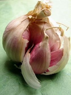 aglio proprietà aglio proprietà2