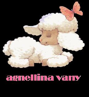 agnellina-vany Odisseo senza fortuna. Poesie d’amore di RomanticaVany e Iannozzi Giuseppe