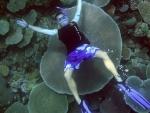 Bellissima foto nuotanto tra i coralli soffici
