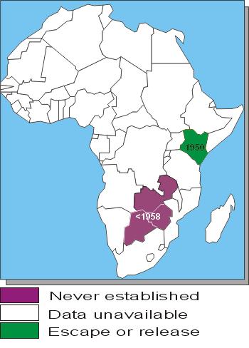 africa coypu DIFFUSIONE E DISTRIBUZIONE DELLA NUTRIA (Coypu – Myocastor coypus) IN AFRICA