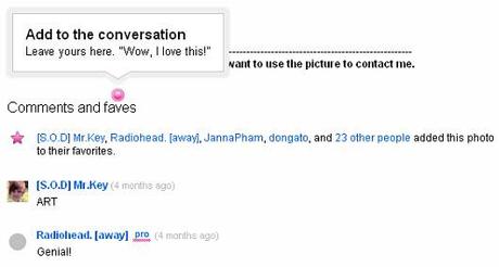 flickr_new_page_comments
