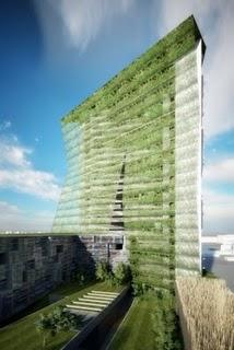 Vertical Farm, coltivare in città a km 0 per sfamare il pianeta