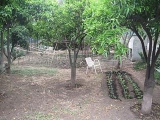 Immagini Etna Gardening