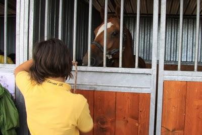 concorso ippico a Riotorto concorso ippico a Riotorto