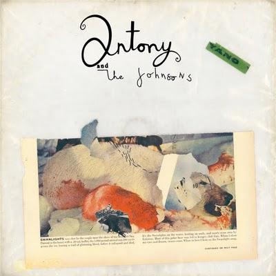 ANTONY and the JOHNSONS – Thank You For Your Love Di...
