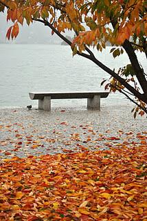 Presagi d'inverno nella fine dell'autunno sul lago.
