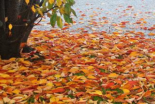 Presagi d'inverno nella fine dell'autunno sul lago.