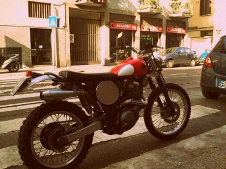 TT Scrambler