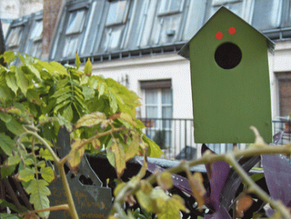 i Giardini dei mestieri_ Garden designer e decoratrice i Giardini dei mestieri_ Garden designer e decoratrice