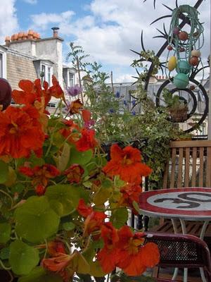 i Giardini dei mestieri_ Garden designer e decoratrice i Giardini dei mestieri_ Garden designer e decoratrice