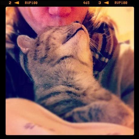 Random Photos ♥ Random Photos ♥