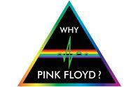Why, Pink Floyd