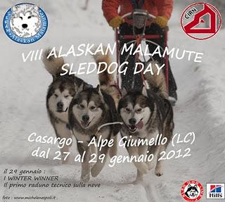 Malamute Day 2012 - 8a edizione