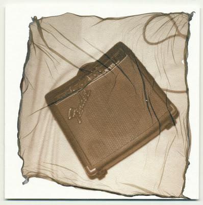 Polaroid • Emulsion Lift Polaroid • Emulsion Lift