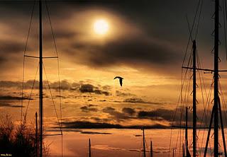 Le illusioni del signor B. Le illusioni del signor B.