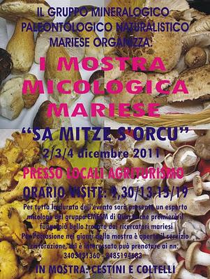 Rassegne in programma questa settimana. Rassegne in programma questa settimana.